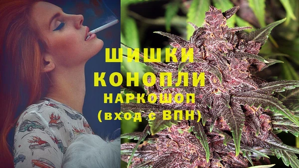 apvp Новозыбков