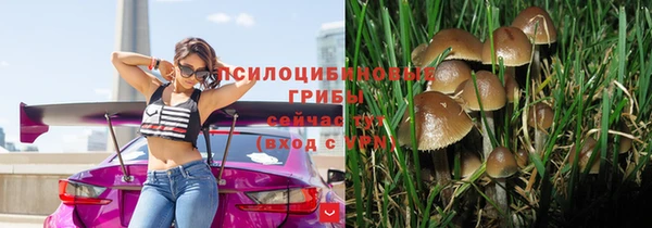 apvp Новозыбков